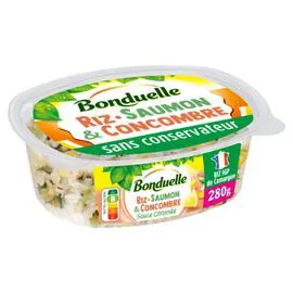 BONDUELLE Riz saumon et concombres 280g