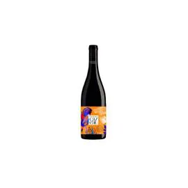 CARRE CAZEAU Vin Rouge Vin de France 75cl