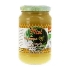 DENIS BETTEND Miel de Printemps Bio 500g