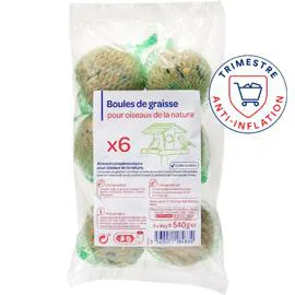 CARREFOUR Boules de graisse pour oiseaux 6x90g