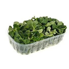 INTERMARCHÉ, LE CHOIX DU PRIMEUR Salade mâche 125g