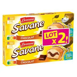 BROSSARD Savane Gâteaux marbré au chocolat sachet fraicheur 210g