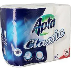 APTA Essuie tout Classic x6
