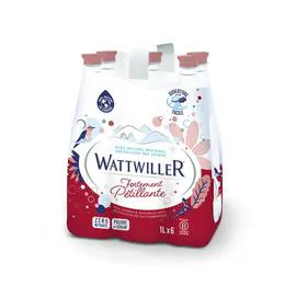 WATTWILLER Eau fortement pétillante 6x1l