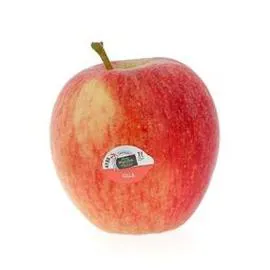 MON MARCHÉ PLAISIR Pommes gala 200g