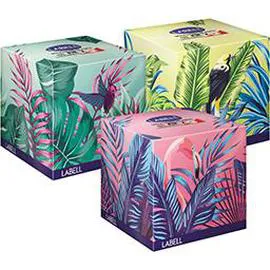 LABELL Mouchoirs blancs coloris assortis x60