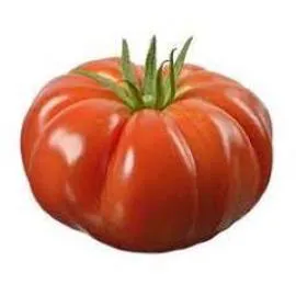 Tomates COTELEE ROUGE (150g)