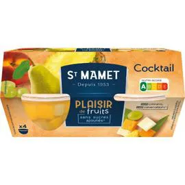 ST MAMET Dessert cocktail de fruits sans sucre ajoutés Dessert 4x113g