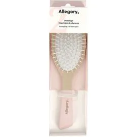 ALLEGORY Allegory Brosse démêlage rose l'unité
