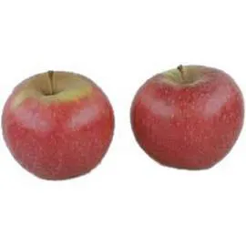 INTERMARCHÉ, LE CHOIX DU PRIMEUR Pomme nina 250g
