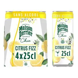 MAISON PERRIER CHIC Boisson Gazeuse Aromatisée Citrus Fizz 4x25cl