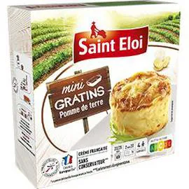 SAINT ELOI Mini gratins pomme de terre 480g