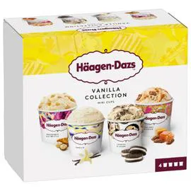 HÄAGEN-DAZS Glaces Vanilla Attraction 320g