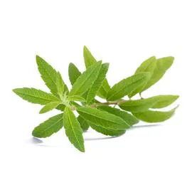 MONOPRIX Pot De Verveine Bio 400g