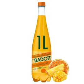 BADOIT Eau Gazeuse Aromatisée Fruits Exotiques 1l