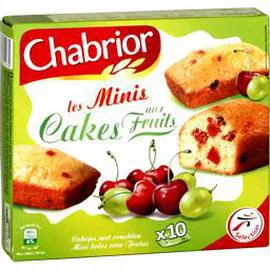 CHABRIOR Les minis cakes aux fruits 10x30g