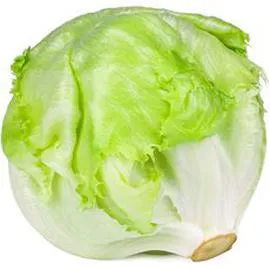 - Salade iceberg l'unité