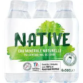 NATIVE Eau minérale naturelle du Centre-Val de Loire 6x50cl