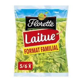 FLORETTE Salade laitue 320g