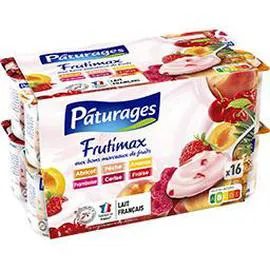 PÂTURAGES Frutimax - Yaourts avec morceaux de fruits 16x125g
