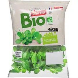 SAINT ELOI BIO Salade mâche BIO 100g
