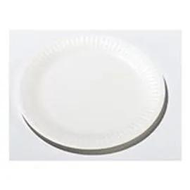  Assiettes dessert 17cm Blanc sans film PE - x50 x50