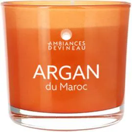 AMBIANCES DEVINEAU Bougie parfumée Argan du Maroc l'unité
