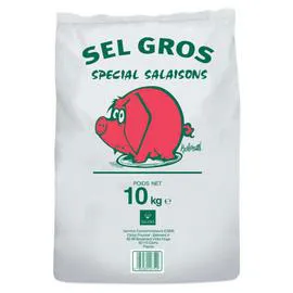 SALINOR Nobrand Gros Sel Spécial Salaison 10kg