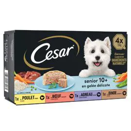 CÉSAR Pâtée pour chien Seniors, assortiment 4x150g