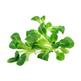 - Salade mâche 125g