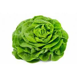- Salade laitue l'unité