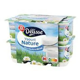 MARQUE REPÈRE, DÉLISSE Yaourts Nature 12x125g