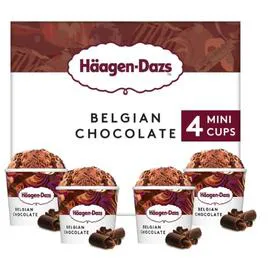 HÄAGEN-DAZS Glace Chocolat Belge 380ml