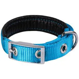 ANIMALIS Collier Basic Confort pour Chien 25mm - 55cm, Bleu l'unité