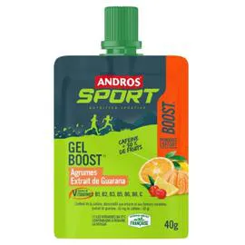 ANDROS Boisson diététique gel boost agrumes 40g