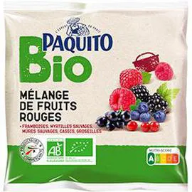 PAQUITO BIO Cocktail de fruits rouges BIO 450g