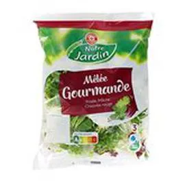 MARQUE REPÈRE, NOTRE JARDIN Salade composée Mélée gourmande 200g