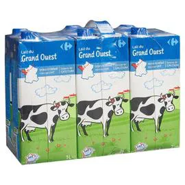 CARREFOUR Lait Demi-Ecreme Stérilisé UHT Calcium du Grand Ouest 6x1l