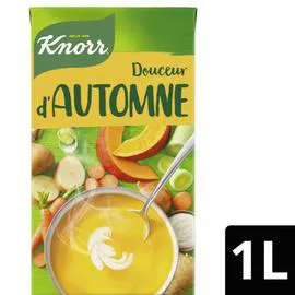 KNORR Soupe légumes crème fraiche 1l