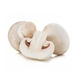 - Champignon de Paris Barquette 500g