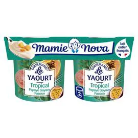MAMIE NOVA Yaourt tropical papaye goyave passion 2x150g