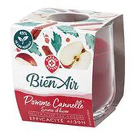 MARQUE REPÈRE, BIEN AIR Bougie Soirée d'hiver 30heures l'unité