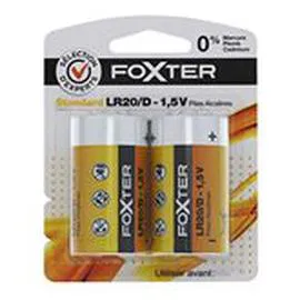 FOXTER Piles alcalines D/LR20 x2