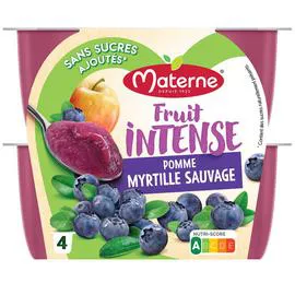 MATERNE Compote Fruit Intense Pomme myrtille sauvage 4x100g