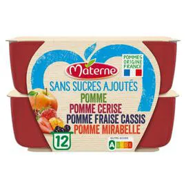 MATERNE Compote 4 parfum s/s ajoutés 12x100g
