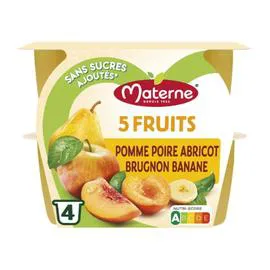 MATERNE Compote 5 fruits jaunes 4x100g