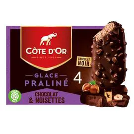 CÔTE D'OR Glace praliné chocolat noir et noisettes 260g