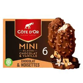 CÔTE D'OR Glace vanille et chocolat 213g