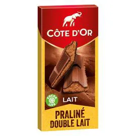CÔTE D'OR Chocolat au lait fourré praliné et double lait 200g