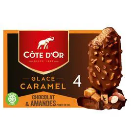 CÔTE D'OR Glace Caramel et Amandes pointe de sel 260g